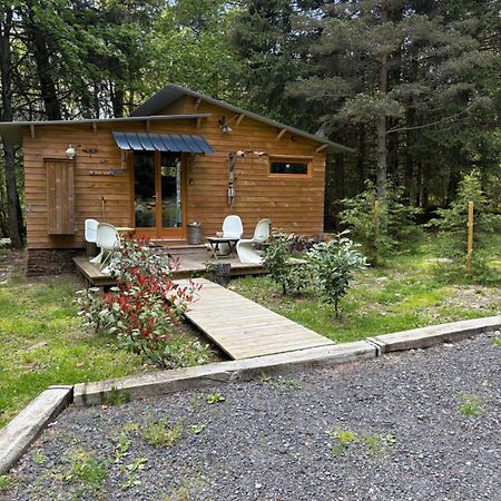 Chalet Libellule Domaine De La Mamounette Champclause Exterior photo